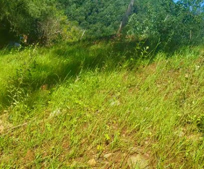 柳關(guān)欒盧鉛鋅礦|治理排土“瘡疤”，繪就綠色畫卷